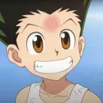 Hunter x Hunter chapitres manga