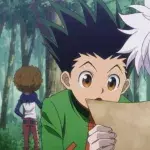 Hunter x Hunter