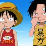 Luffy et Ace