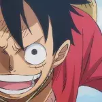 One Piece plus long combat