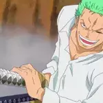 Roronoa Zoro dans One Piece