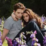 Twilight 6