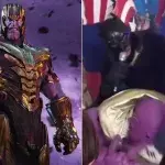 Insolite anniversaire Marvel bagarre Thanos