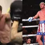 Logan Paul Chris Hemsworth boxe
