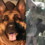 Meilleurs animaux jeu vidéo
