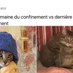 Meilleurs tweets confinement