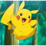 Pokemon Record 