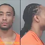 Vol nom de domaine 14 ans prison