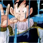 Dragon Ball Z