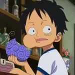 Fruits du démon One Piece