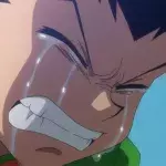 Hunter x Hunter