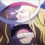 One piece Barbe Blanche