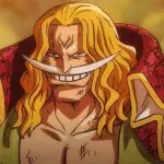 One Piece Barbe Blanche