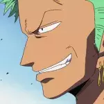 One Piece Zoro comportement