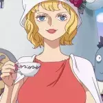 Stussy dans One Piece