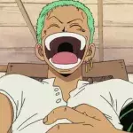 Zoro autre équipage