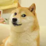 Meme Doge 