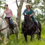 heartland saison 19
