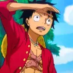 pause one piece oda