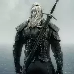 Offre d'emploi Witcher