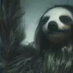 Slotherhouse