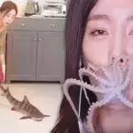 Ssoyoung torture animaux youtube