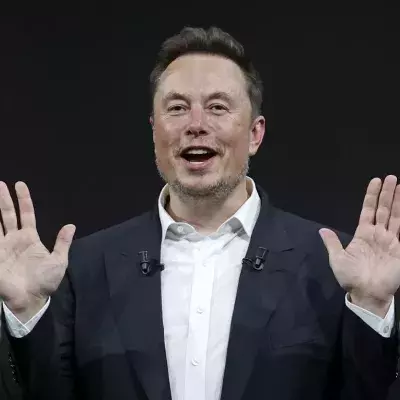 autopilot tesla