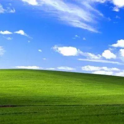 Default image
