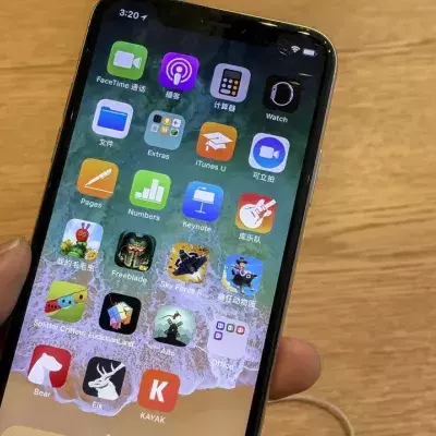 iPhone X