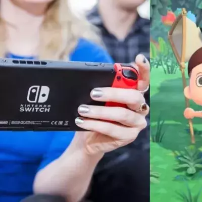Animal Crossing New Horizons insectes