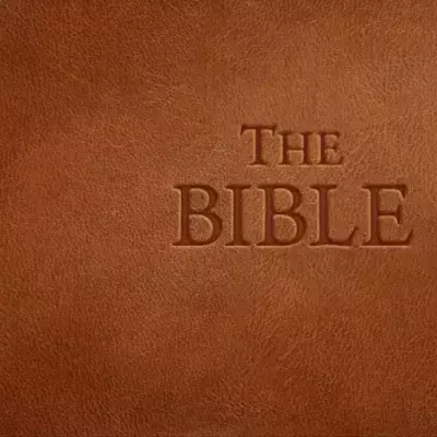 The Bible sur Steam