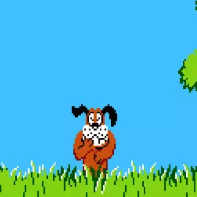 Duck Hunt