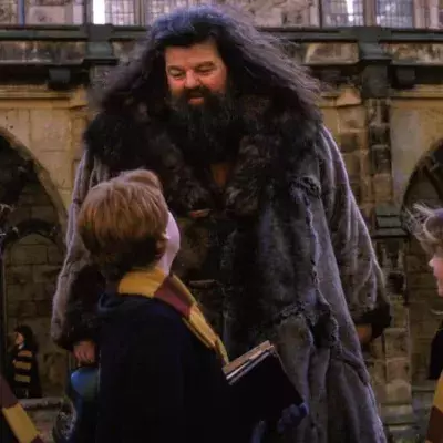Hagrid dans Harry Potter