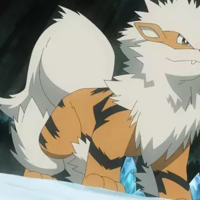 Liste Pokémon Chien