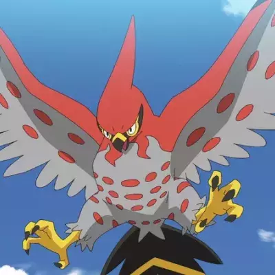 Pokémon Oiseau