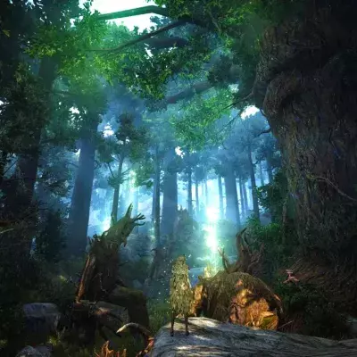 Black Desert