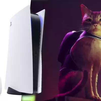 PS5 jeu stray chat exclu