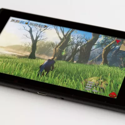 Valheim Switch