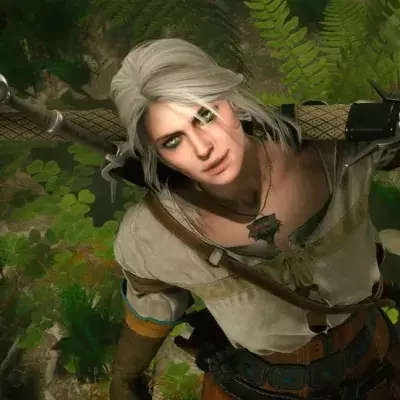 the witcher 3