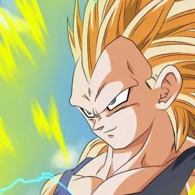Dragon Ball Z Vegeta SSJ3 