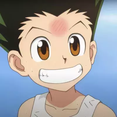 Hunter x Hunter chapitres manga