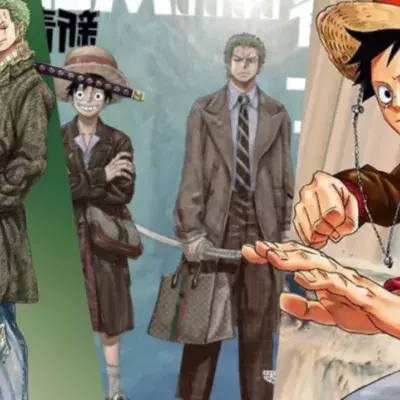 one piece luffy zoro skins