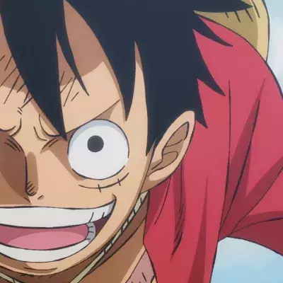 One Piece plus long combat