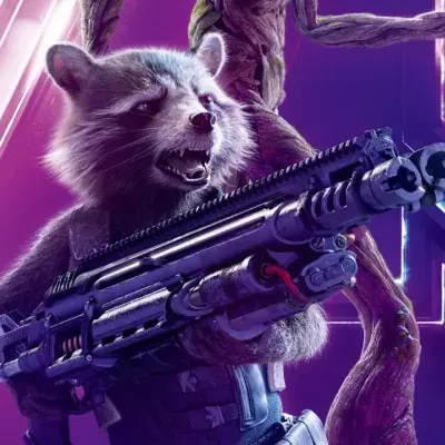 rocket racoon