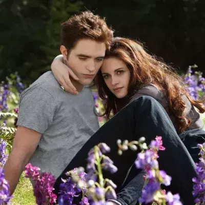 Twilight 6