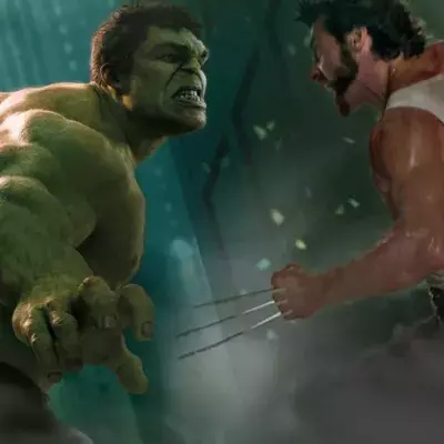 Hulk vs Wolverine