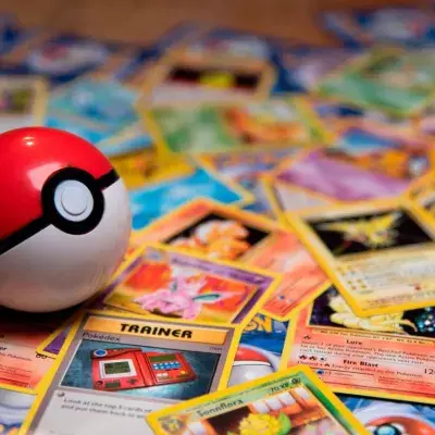 etudiant paye etude vend collection cartes pokemon