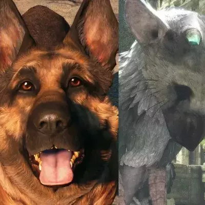Meilleurs animaux jeu vidéo