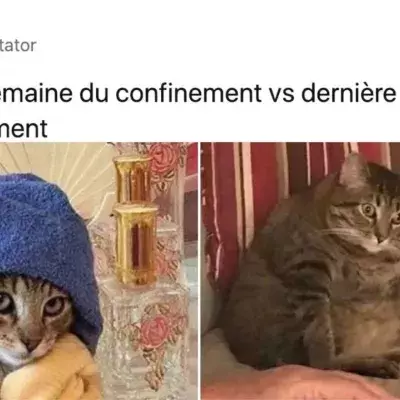 Meilleurs tweets confinement