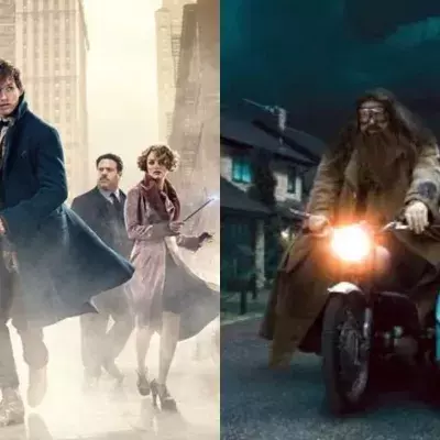 Les Animaux Fantastiques Dan Fogler Harry Potter